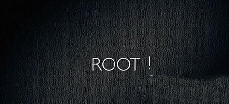 root權限