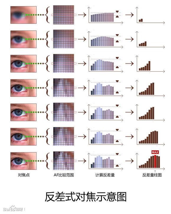 什麼因素決定了手機拍照效果：對焦系統有哪些區別？