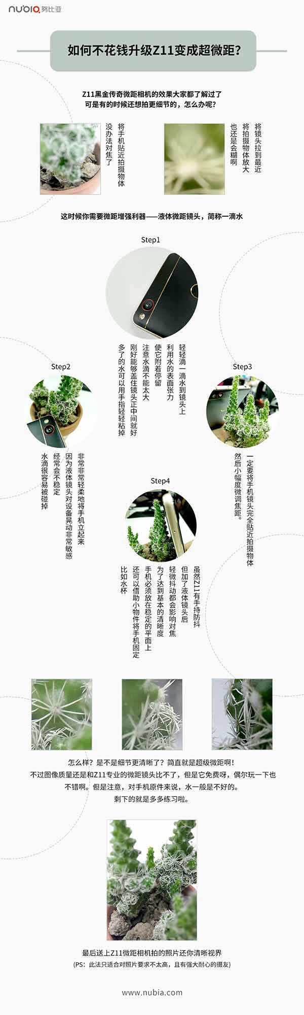 怎麼樣用nuba Z11黑金版拍攝超級微距照片？