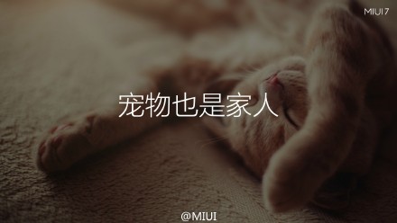 小米MIUI 7做了哪些提升 MIUI 7亮點匯總