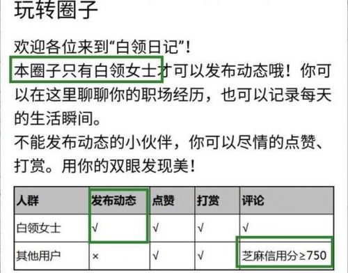 支付寶圈子,支付寶圈子怎麼玩,支付寶